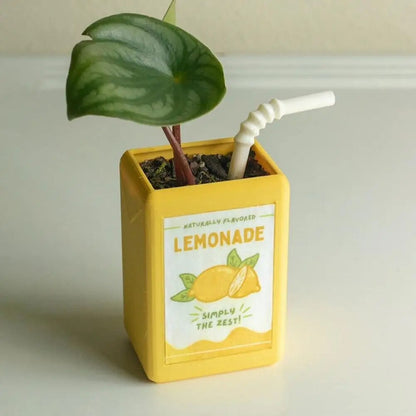 BloomBox Juice Box Flower Pot